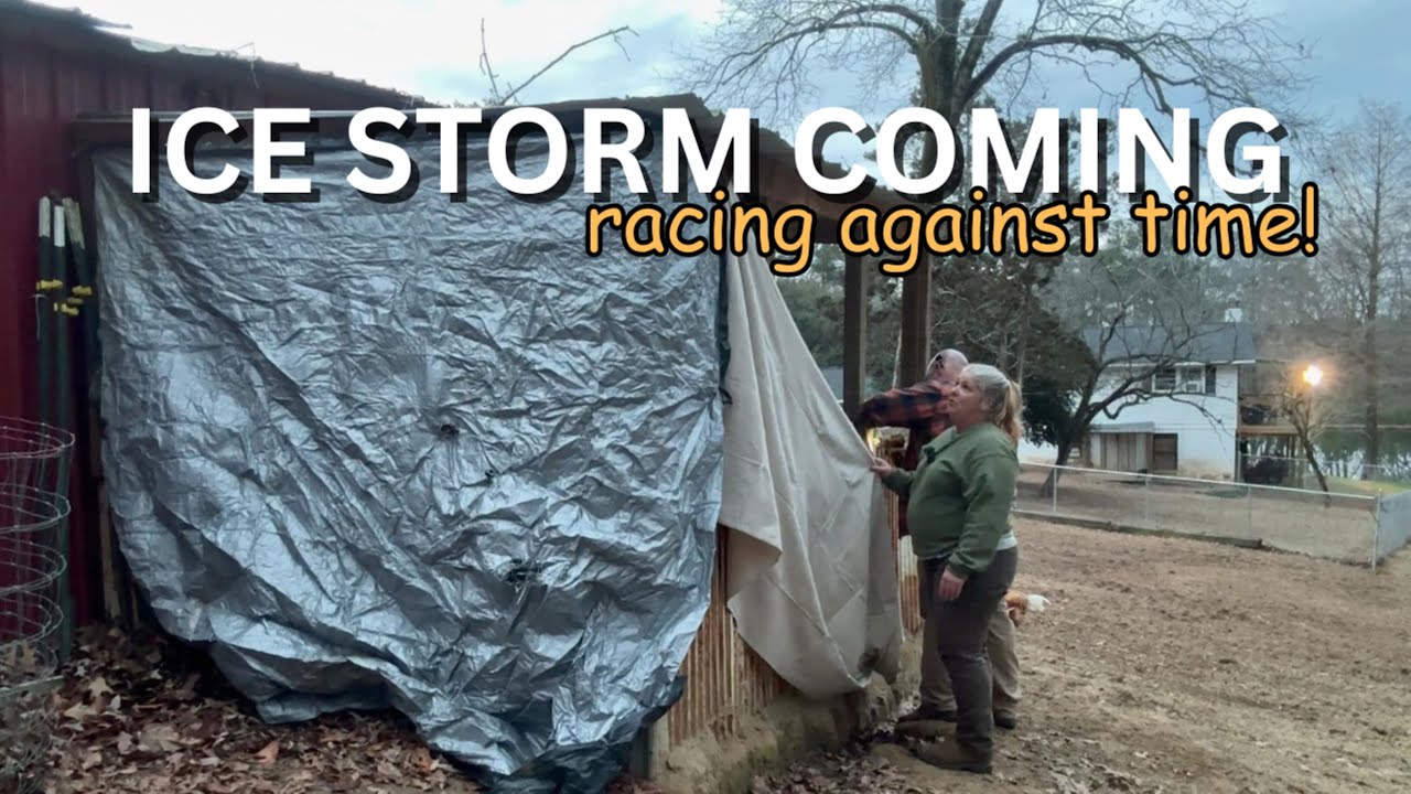 HOMESTEAD WINTER STORM PREP: Protecting our Livestock When EVERYTHING goes Wrong!