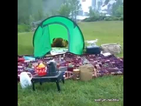 صل عليك الله في عليائه