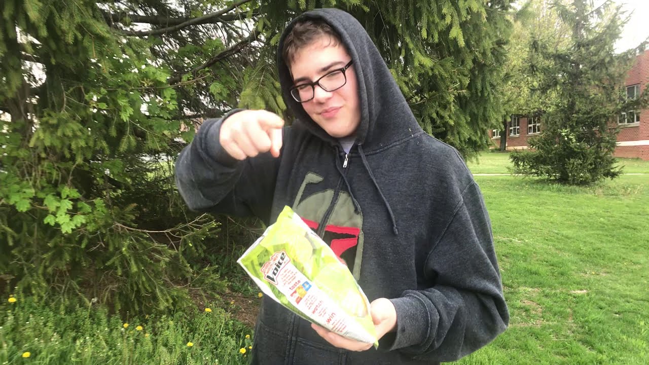 Logan Tries Lays Fried Green Tomato Chips