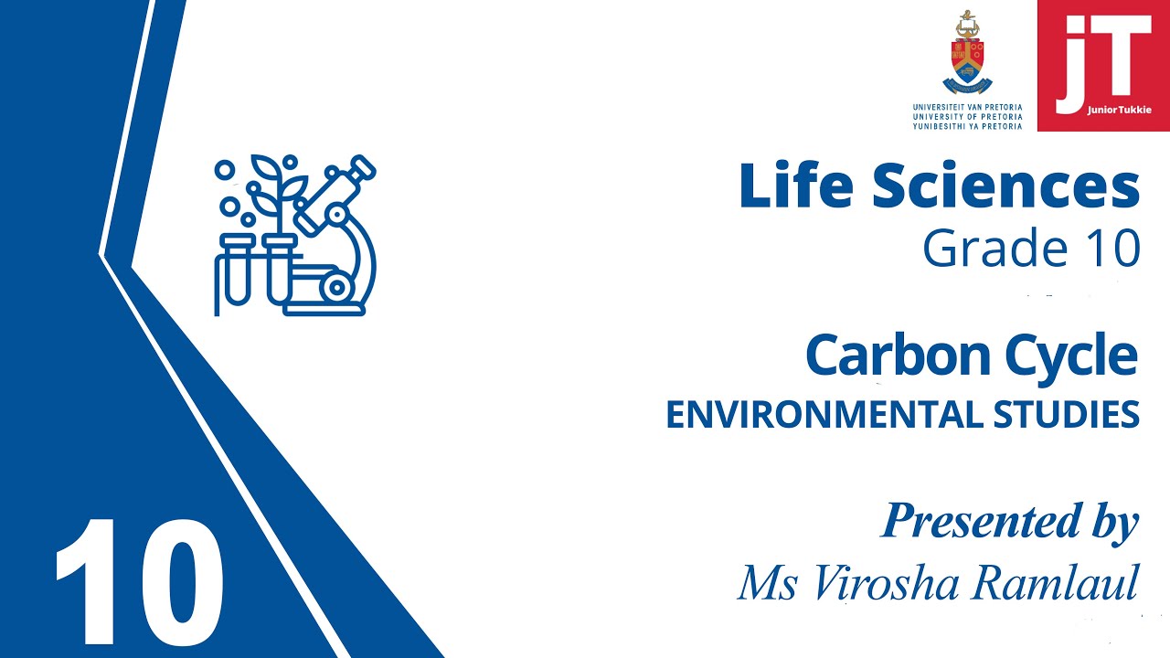3. Gr 10 Life Sciences - Environmental Studies - Carbon Cycle - YouTube