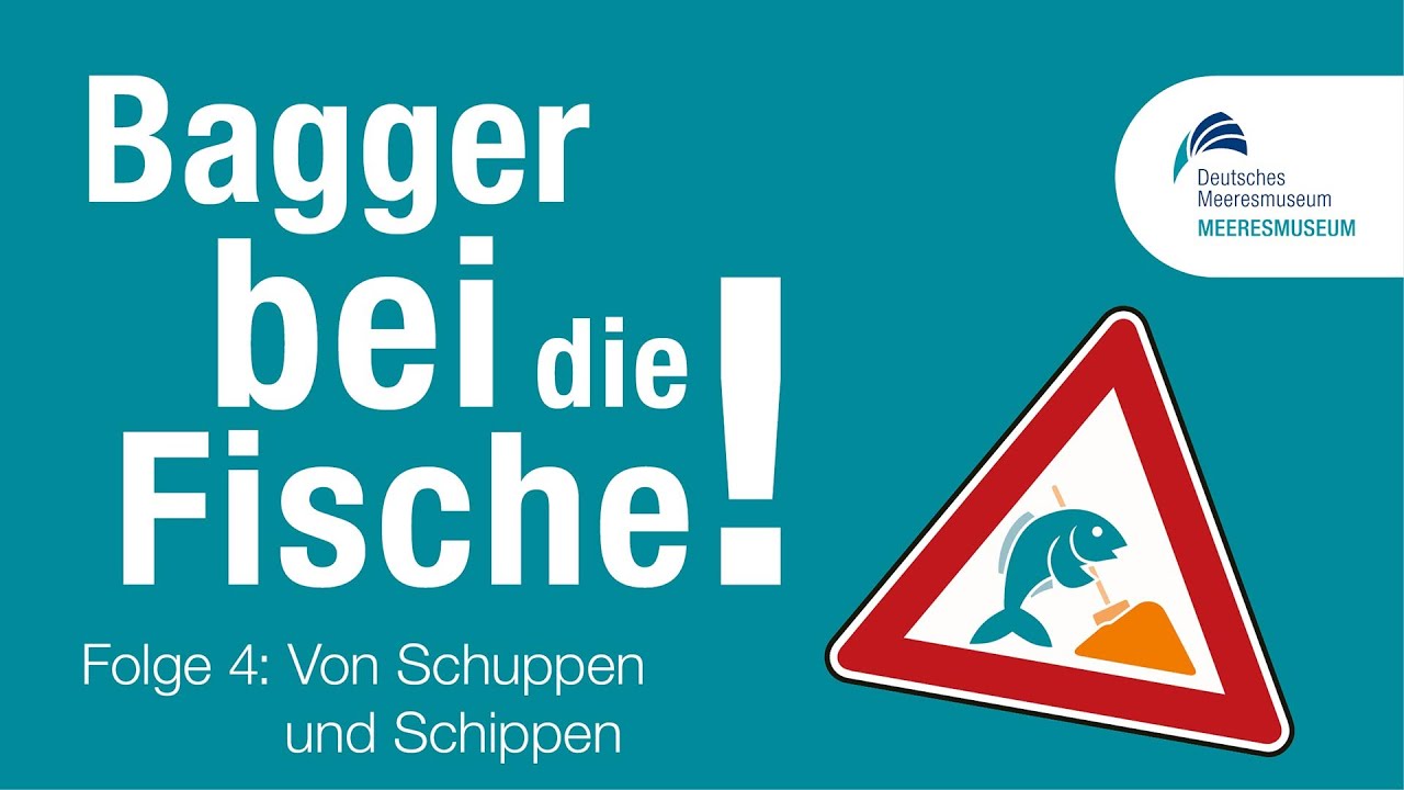 Bagger bei die Fische! | Folge 4: 