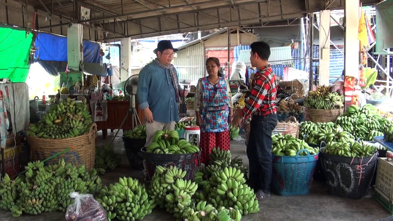 EP05 รับซื้อ-ขายปลีกส่งกล้วยโดยป้าน้อย คุณวิเชียร กลิ่นยอด ตลาดหนองบ้วย ท่ายาง เพชรบุรี