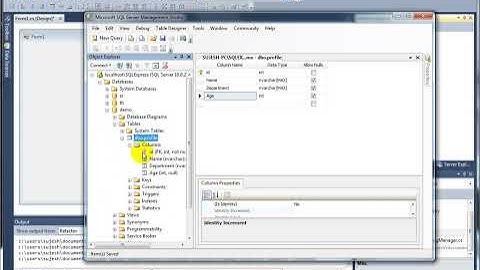 C# tutorial in Tamil Connection Manager part - 3  Windows Application part - 1