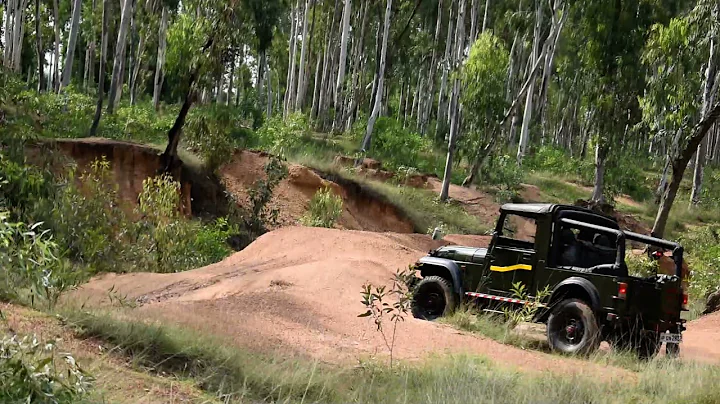 1964 Willys Cj3B stock #willyscj3b