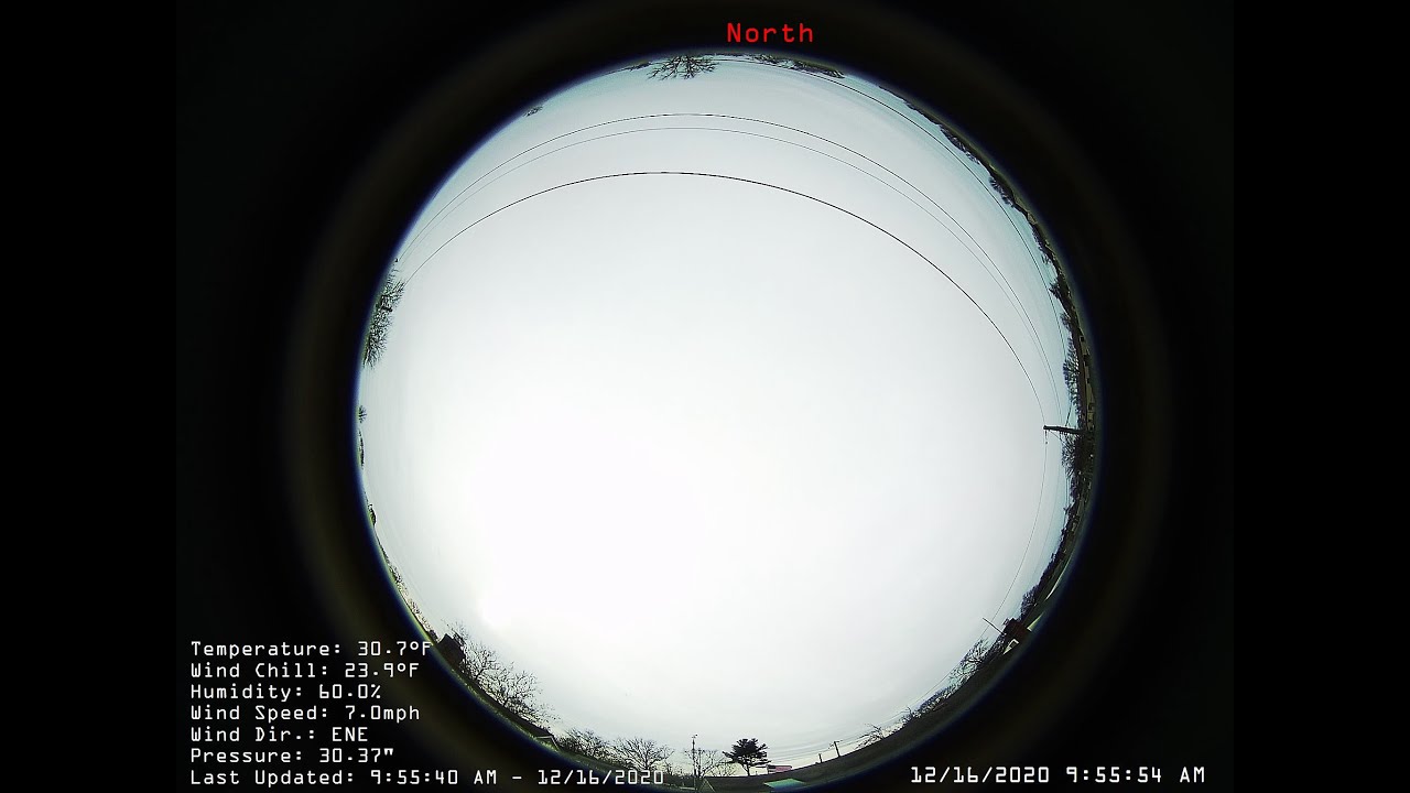 Christmas Bird feeder  Live Franklin Square, NY 11010