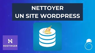 Comment nettoyer un site WordPress ? (Database Cleaner) - Hacking SEO
