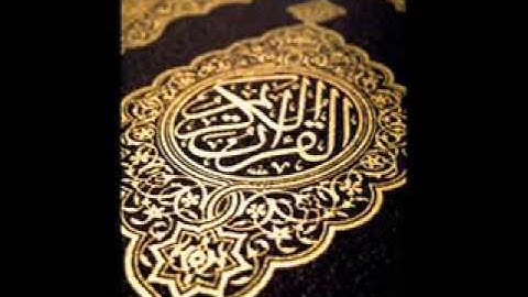 القارئ الشيخ هاني الرفاعي سورة المنافقون