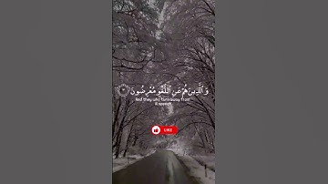 تلاوة هادئه وجميله [ سورة المؤمنون ] ماهر المعقل