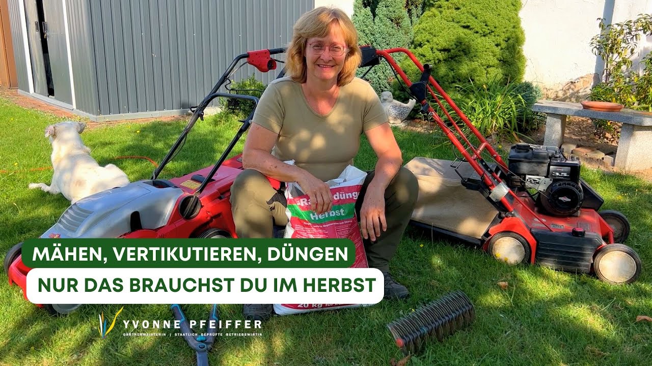 Wann Rasen dngen? Die besten Zeitpunkte & Tipps