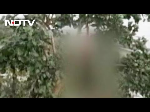 Forest Girl Jabardasti Rape Xvideo - 16-Year-Old Girl Hung After Alleged Gang-Rape In UP, 3 Arrested - YouTube