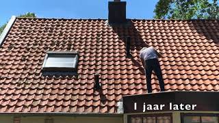 Ede gelderland Dakpannen reinigen zonder hoge druk; dakreiniging met schuim