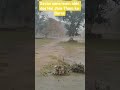 Rimjhim barish  # Hua Mausam Suhana #Dil Ko sukun De Gaya #nature love 💕