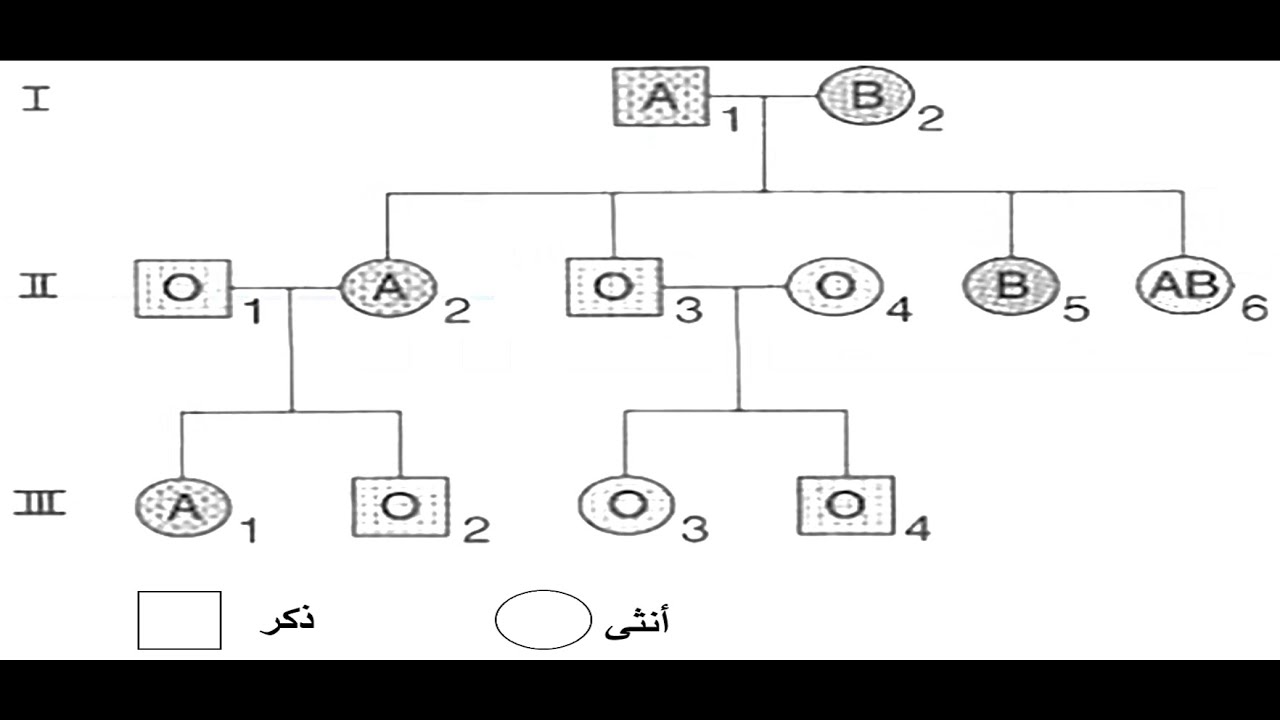 علوم طبيعية الحقة 5 حل الجزء الاول من تمرين وراثة  الزمر الدموية