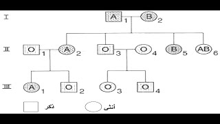 علوم طبيعية الحقة 5 حل الجزء الاول من تمرين وراثة  الزمر الدموية