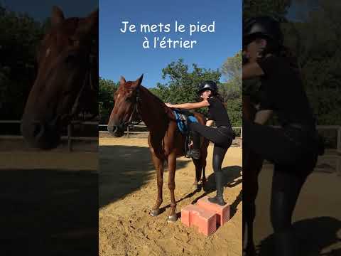 Vidéo: Qu'est-ce que cela signifie quand un cheval est aveugle ?