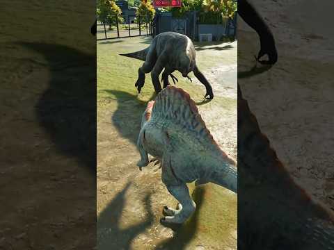 JP3 SPINOSAURUS Vs DISTORTUS REX - Jurassic World Evolution 3 #jurassicworld