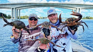 Big City Crabbing! (catch & cook) screenshot 4