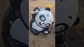 Panda World Theme Song : 에버랜드 #shorts#판다#에버랜드#푸바오#곰#포유류