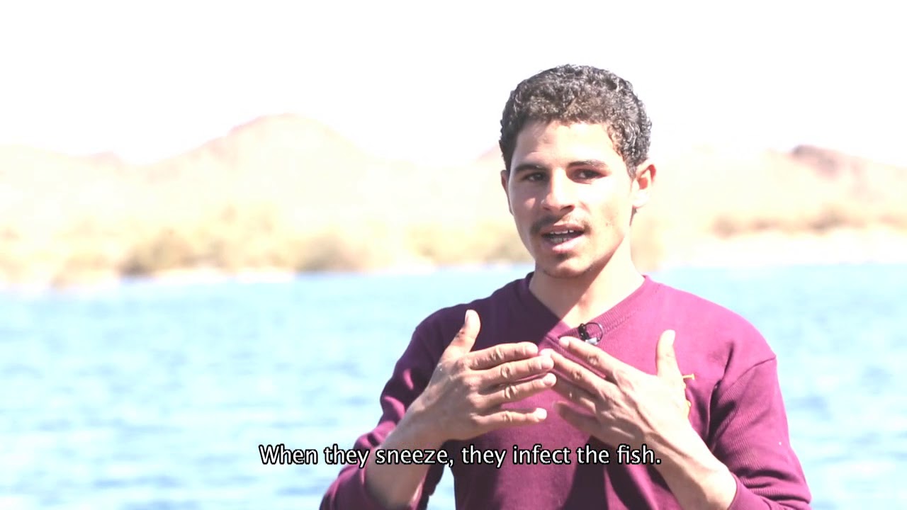 Young fishers learn best fishing practices