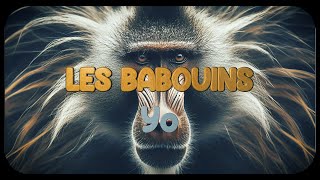 Les Babouins - Chanson Par Yo