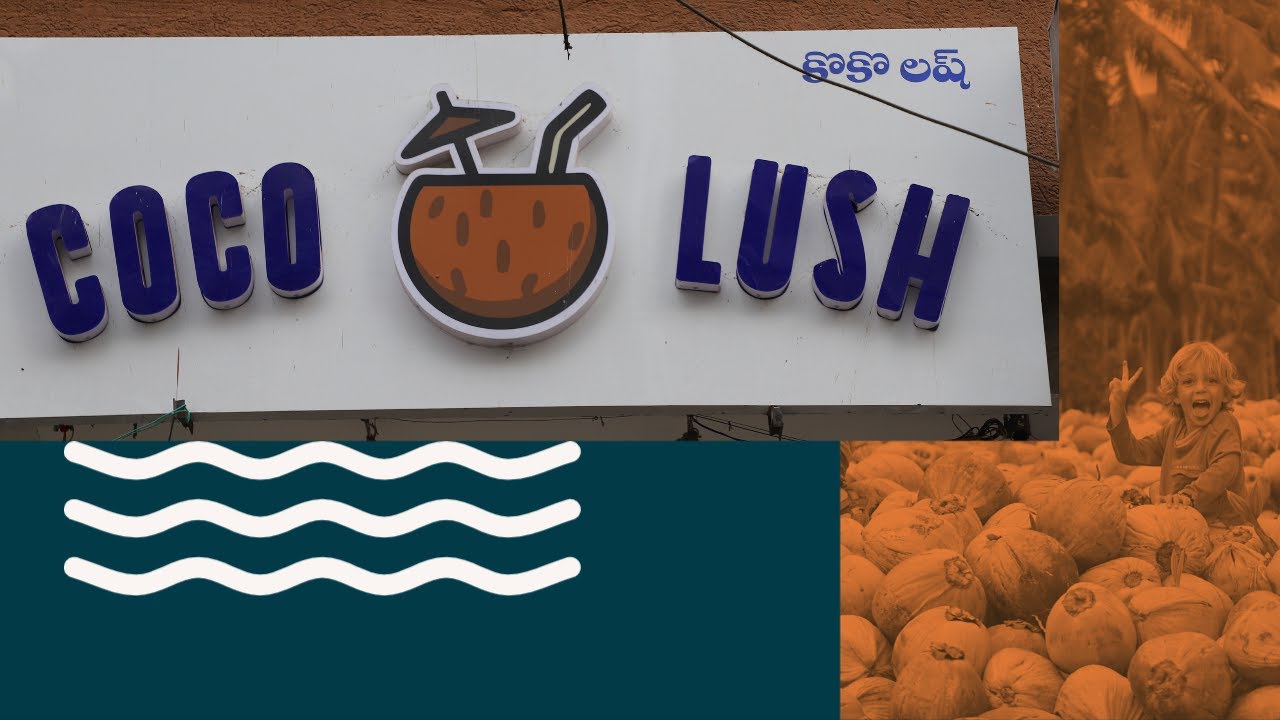 Summer Special Coconut Drinks Coco Lush Best Coconut Drinks