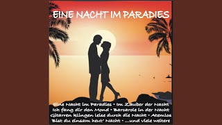 Barcarole in der Nacht