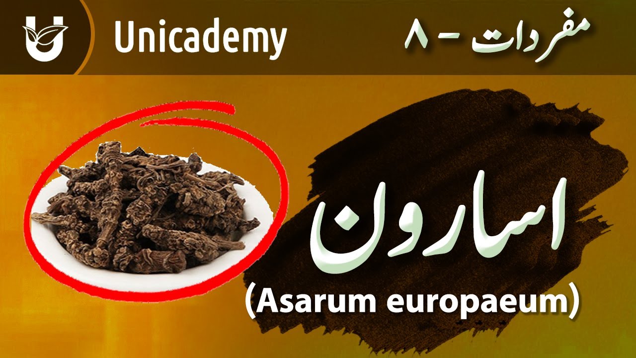 Asarun (Wild Ginger) | ‍‏ اسارون