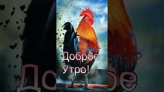 Откройте Ваше Сердце Счастью #Доброеутро #Хорошегодня #Хорошегонастроения