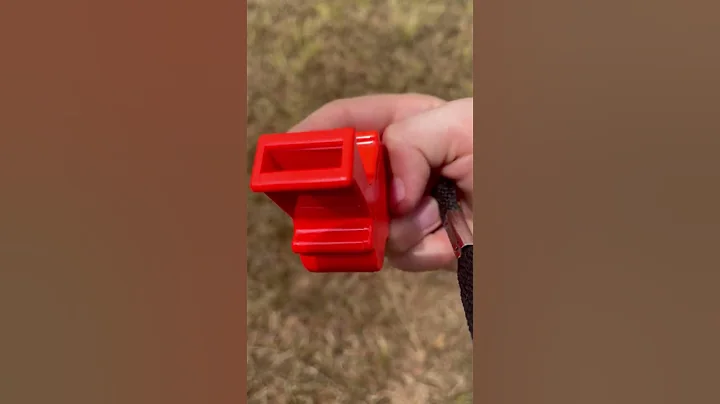 The World's Loudest Whistle