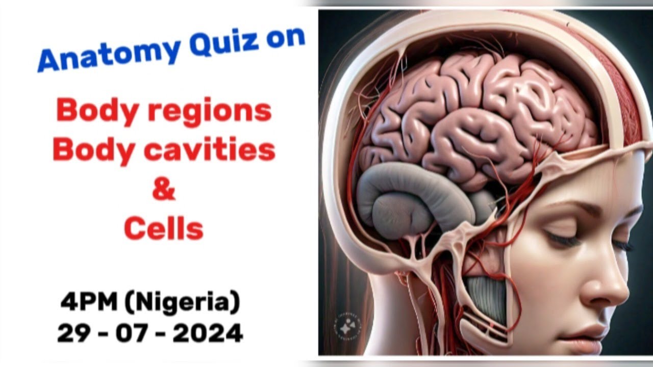 Anatomy and physiology quiz 003 - YouTube