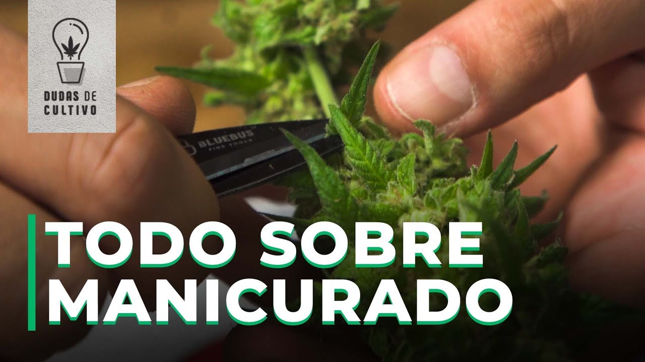 MANICURAR ¿SECO O HÚMEDO? PROS Y CONTRAS