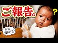 嬉しいお知らせ。