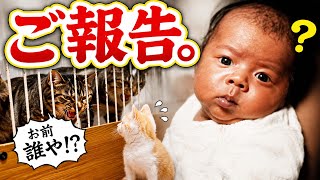 嬉しいお知らせ。