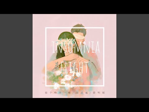 失眠飞行（Insomnia Flight）