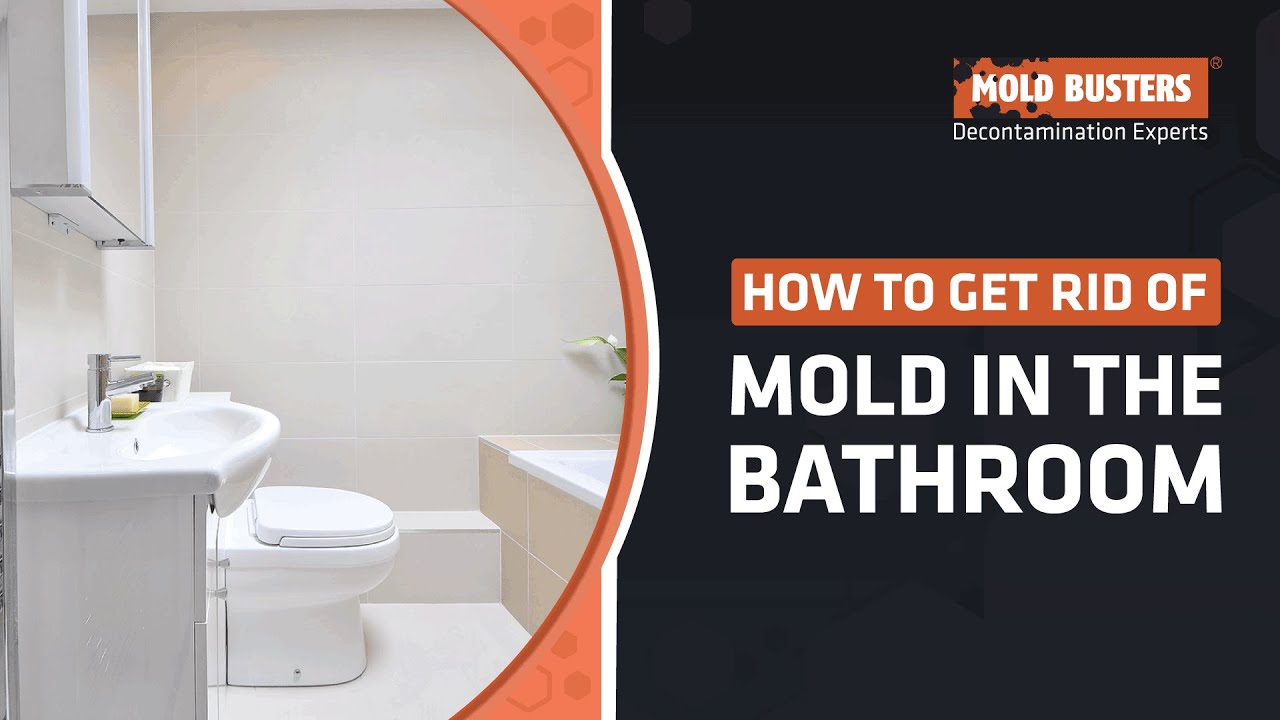How to Get Rid of Mold in Bathroom, Bathroom Mold Removal - Mold ...
