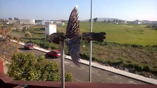 WP 20150313 007