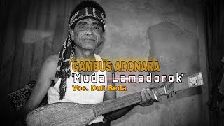 GAMBUS ADONARA | MUDA LAMADOROK | Voc. Duli Beda Lewopao |