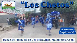 Danza De Pluma “Los Chetos” De La Col. Maravillas, Matamoros, Coah. Ón