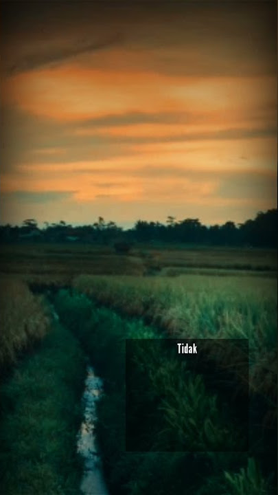 pada Mu ku bersujud - story wa 30 detik terbaru