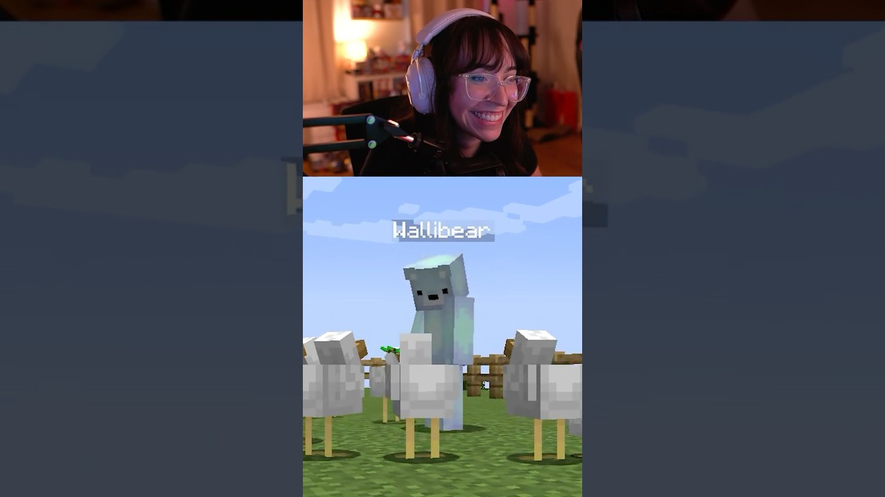 Chicken hides from Wallibear 🤫🐔  