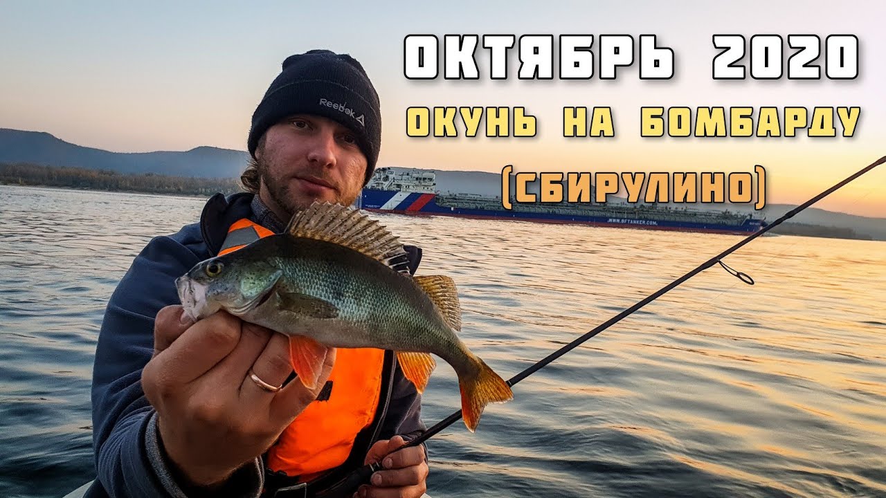 Окунь на волге