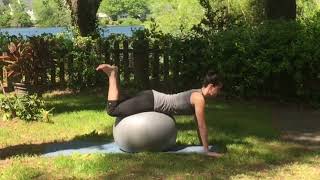 Stability Ball Glute Frogs (Reverse Hypers)