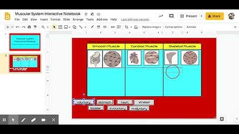 Muscular System Interactive Notebook - Google Slides