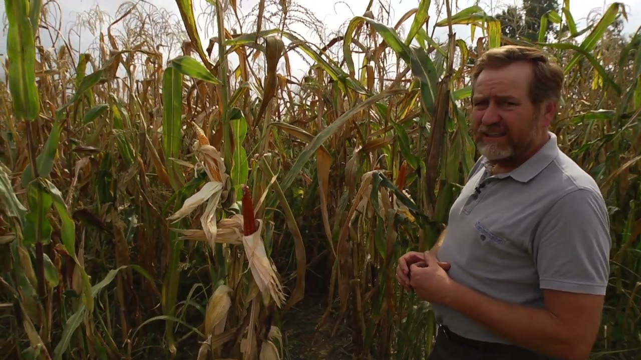 Il Progetto GERMonte 3