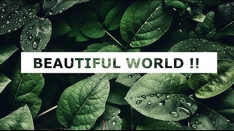 Responsive CUT-OUT Text using CSS Property [ with Source Code ]