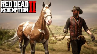 RED DEAD REDEMPTION 2 #56 | DOMANDO CAVALOS NO DESERTO e O FIM DOS DEL LOBOS!