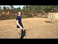 Trying Both Angles: Concealed Carry POV vs Full Frame