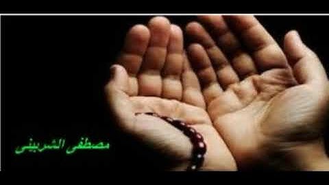 سورة القصص للشيخ محمد عبدالوهاب الطنطاوى وتلاوة رائعة