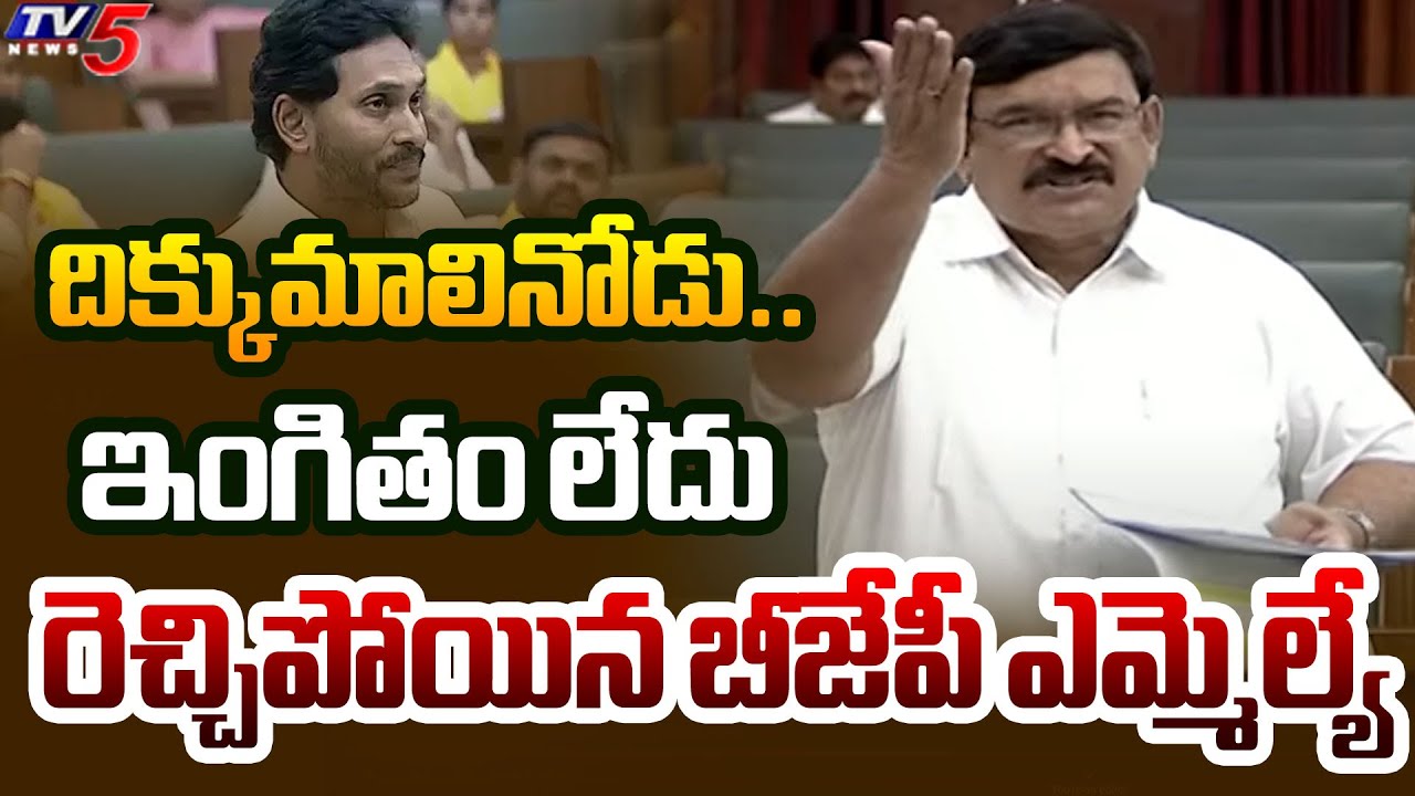 BJP MLA Vishnu Kumar Raju Shocking Comments On YS Jagan Mohan Reddy in Today Assembly | YSRCP | TV5