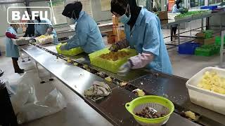 fruit packaging machine, fresh produce packaging machine, vegetable packaging machine, flow wrapper